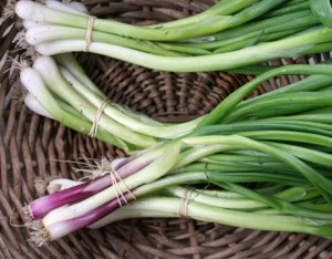 spring-veg-green-garlic-lg